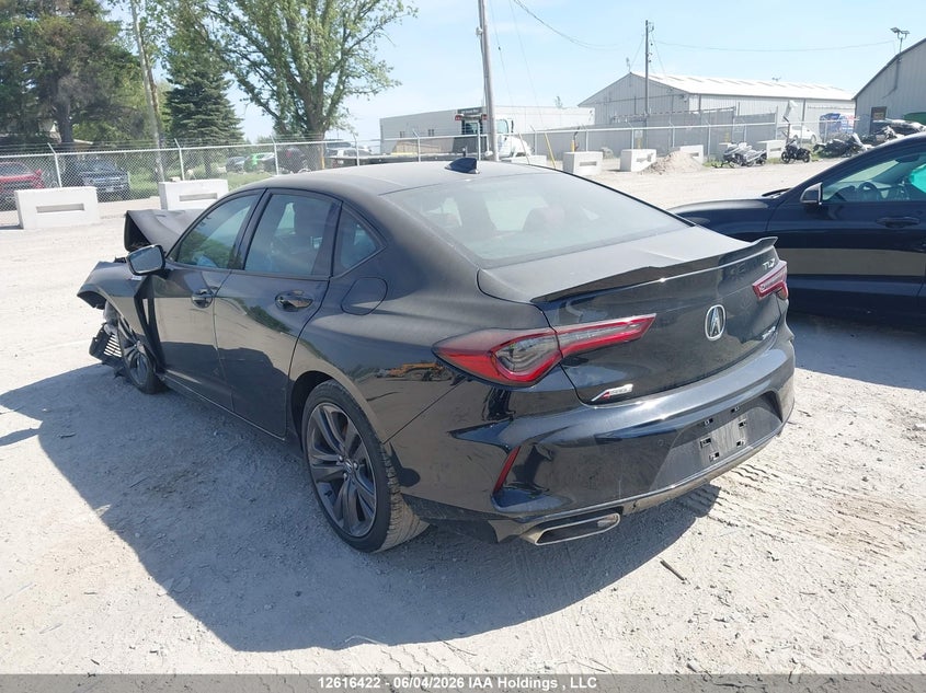 Vin: 19uub6f52na800173, lot: 3015396, acura tlx a-spec 20223