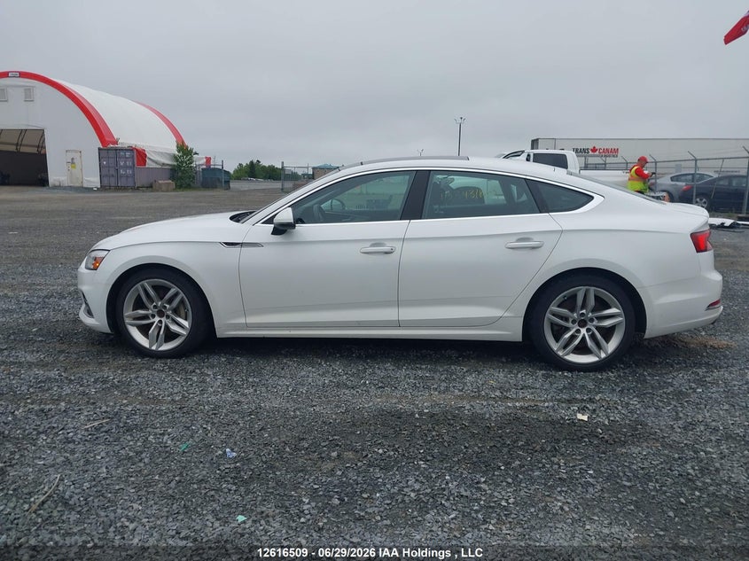 2019 AUDI A5 HATCHBACK 2.0L I-4 DI, DOHC, VVT, TURBO, 248HP