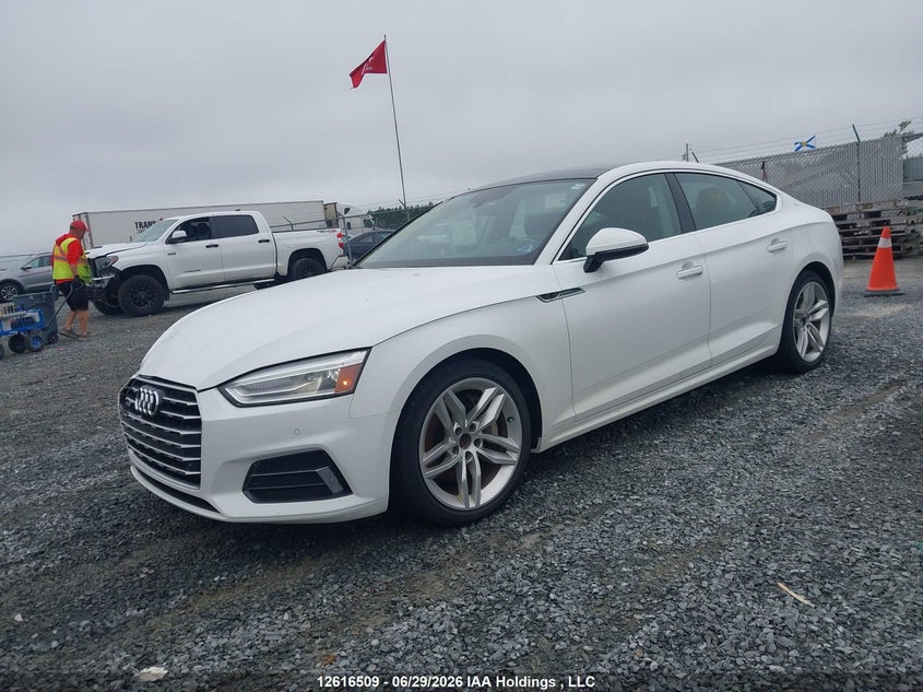 2019 AUDI A5 HATCHBACK 2.0L I-4 DI, DOHC, VVT, TURBO, 248HP