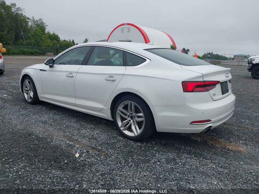 2019 AUDI A5 HATCHBACK 2.0L I-4 DI, DOHC, VVT, TURBO, 248HP