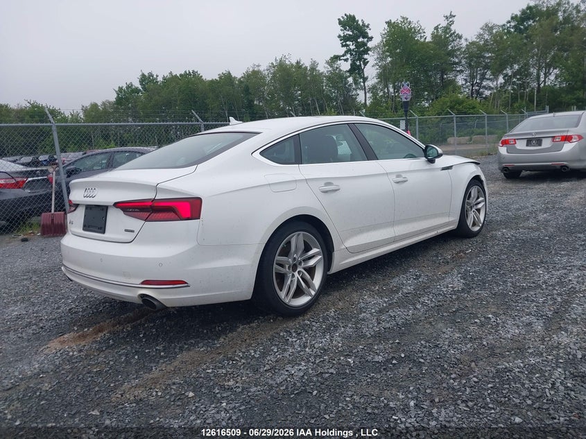 2019 AUDI A5 HATCHBACK 2.0L I-4 DI, DOHC, VVT, TURBO, 248HP