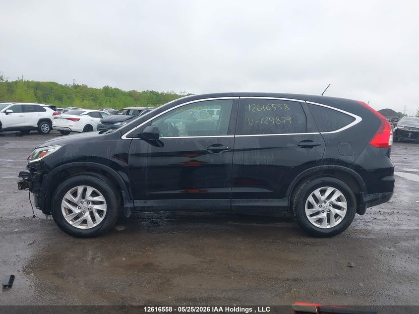 2015 Honda Cr-V Ex VIN: 2HKRM4H53FH129879 Lot: 12616558