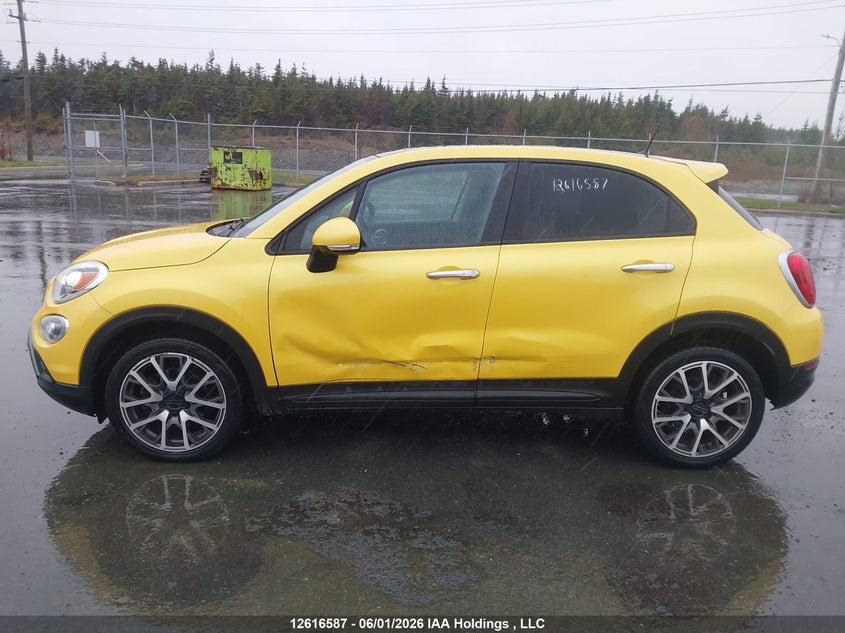 2017 Fiat 500X Trekking VIN: ZFBCFXCB3HP585079 Lot: 12616587