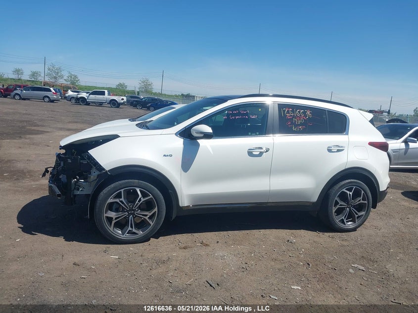 2022 Kia Sportage Sx VIN: KNDPRCA68N7993786 Lot: 12616636