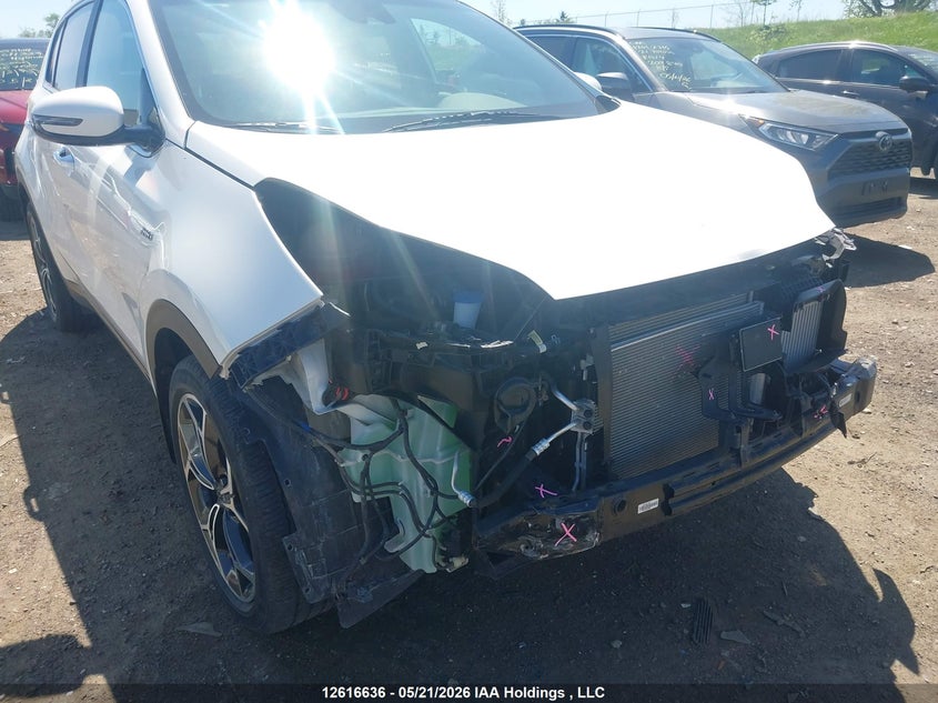 2022 Kia Sportage Sx VIN: KNDPRCA68N7993786 Lot: 12616636