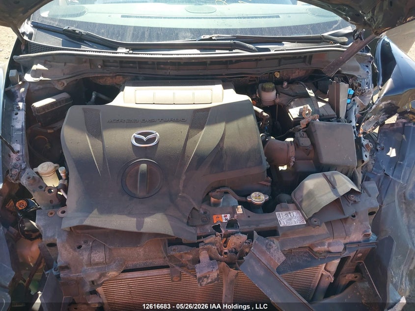 2009 Mazda Cx-7 VIN: JM3ER293090237063 Lot: 12616683
