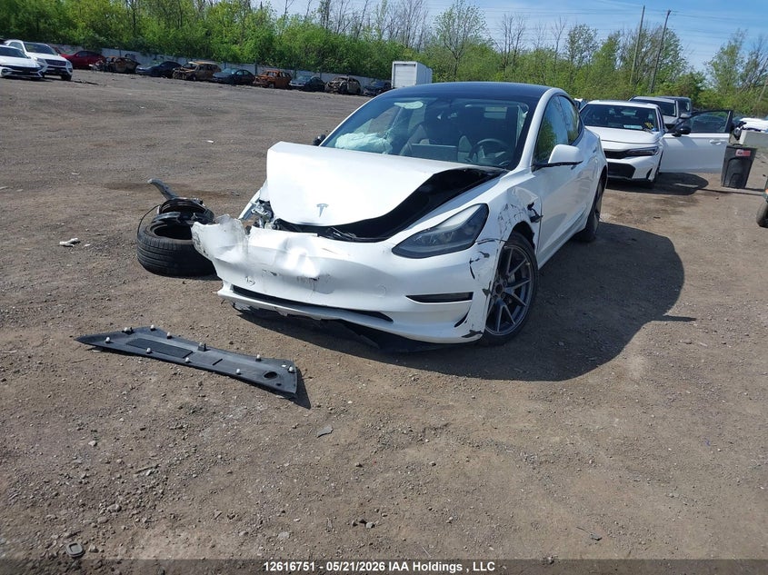 Vin: 5yj3e1ea0pf428040, lot: 3015735, tesla model 3 20232