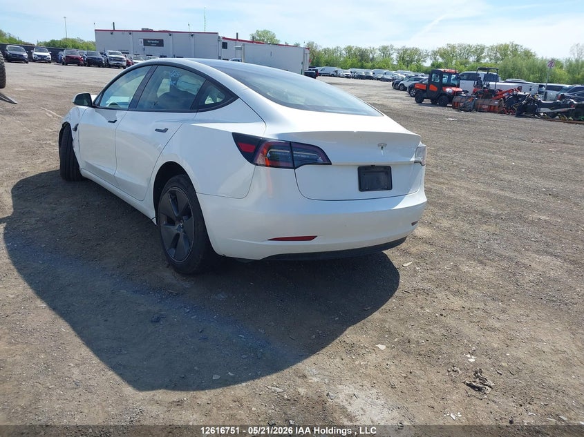Vin: 5yj3e1ea0pf428040, lot: 3015735, tesla model 3 20233