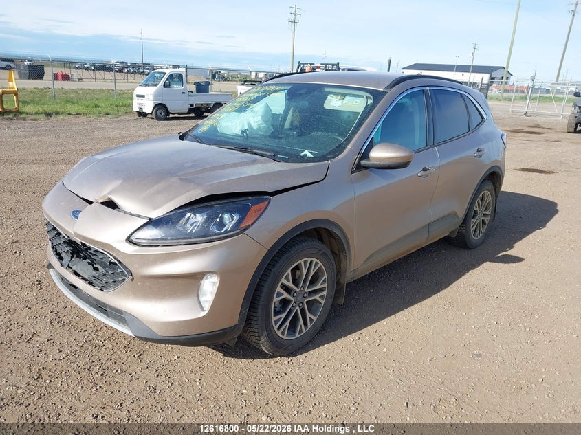 2020 Ford Escape Sel VIN: 1FMCU9H60LUA88104 Lot: 12616800