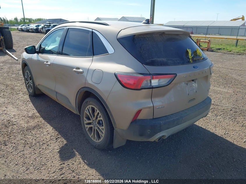 2020 Ford Escape Sel VIN: 1FMCU9H60LUA88104 Lot: 12616800