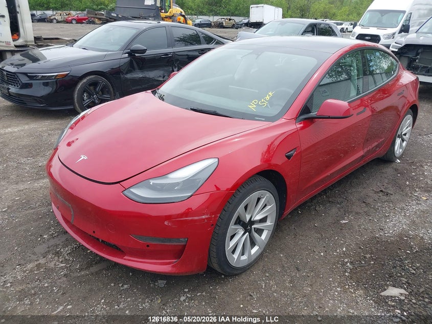 Vin: 5yj3e1ea4pf433645, lot: 3015821, tesla model 3 rwd 20232