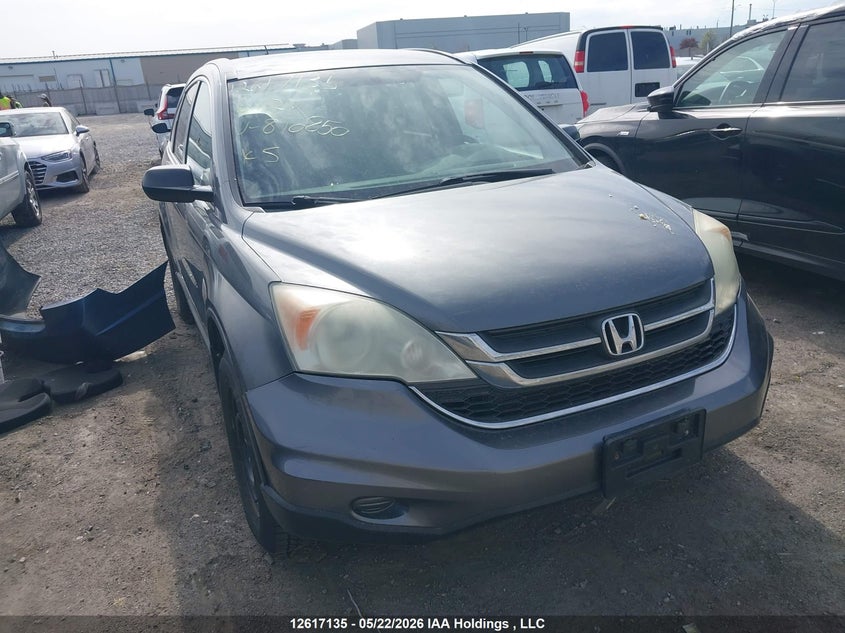 Vin: 5j6re4h37al810850, lot: 3016149, honda cr-v lx 2010 img_1