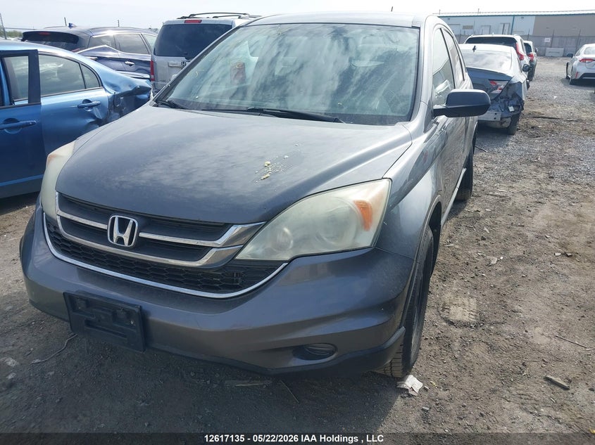 Vin: 5j6re4h37al810850, lot: 3016149, honda cr-v lx 20103