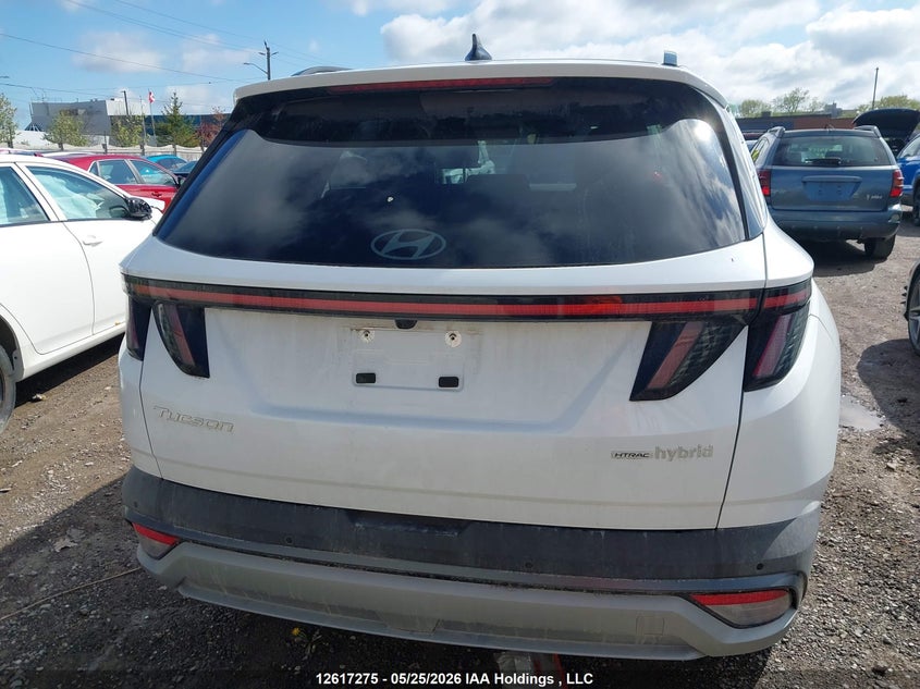2025 Hyundai Tucson Hybrid VIN: KM8JCDD16SU254583 Lot: 12617275