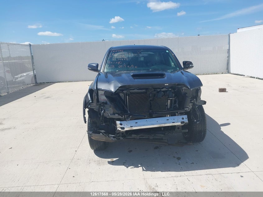 2023 Toyota Tacoma Double Cab/Sr5/Trd Sport/Trd Off Road VIN: 3TYDZ5BN2PT027645 Lot: 12617568