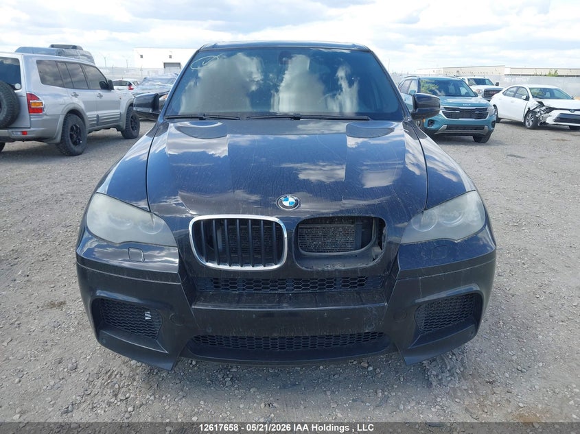 2010 BMW X5 M VIN: 5YMGY0C56ALK25075 Lot: 12617658