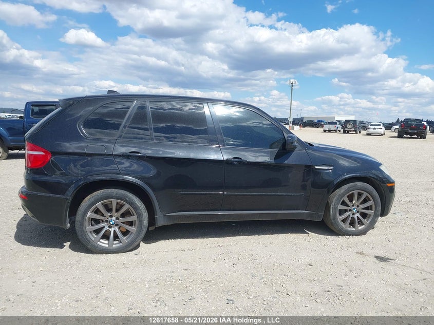 2010 BMW X5 M VIN: 5YMGY0C56ALK25075 Lot: 12617658