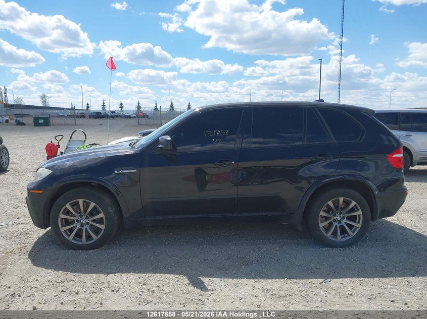 2010 BMW X5 M VIN: 5YMGY0C56ALK25075 Lot: 12617658
