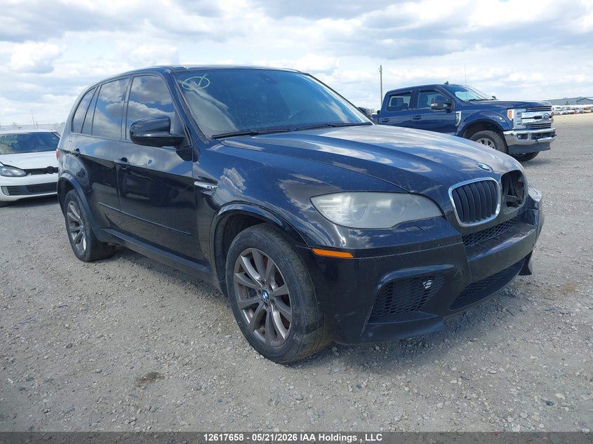 2010 BMW X5 M