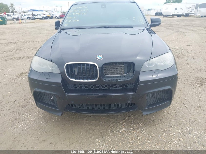 2010 BMW X5 M VIN: 5YMGY0C56ALK25075 Lot: 12617658