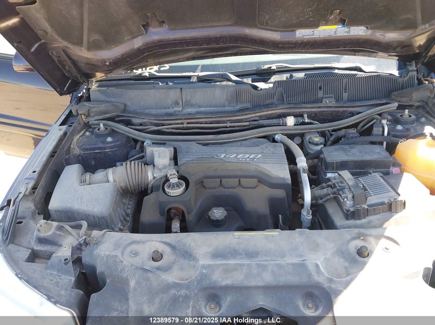 2006 Pontiac Torrent Sport VIN: 2CKDL63F766175169 Lot: 12389579X