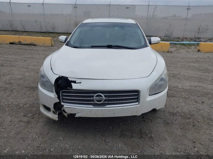 2010 Nissan Maxima S/Sv VIN: 1N4AA5AP1AC857783 Lot: 12619182