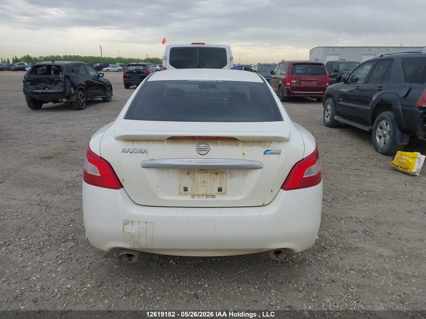 2010 Nissan Maxima S/Sv VIN: 1N4AA5AP1AC857783 Lot: 12619182