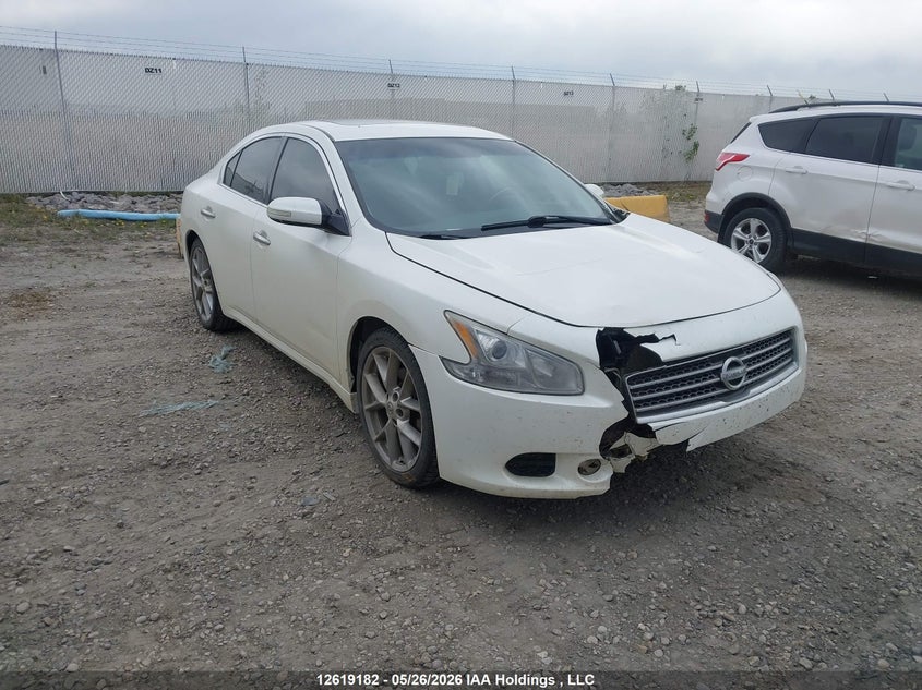 2010 Nissan Maxima S/Sv VIN: 1N4AA5AP1AC857783 Lot: 12619182