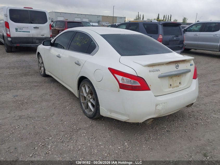 2010 Nissan Maxima S/Sv VIN: 1N4AA5AP1AC857783 Lot: 12619182