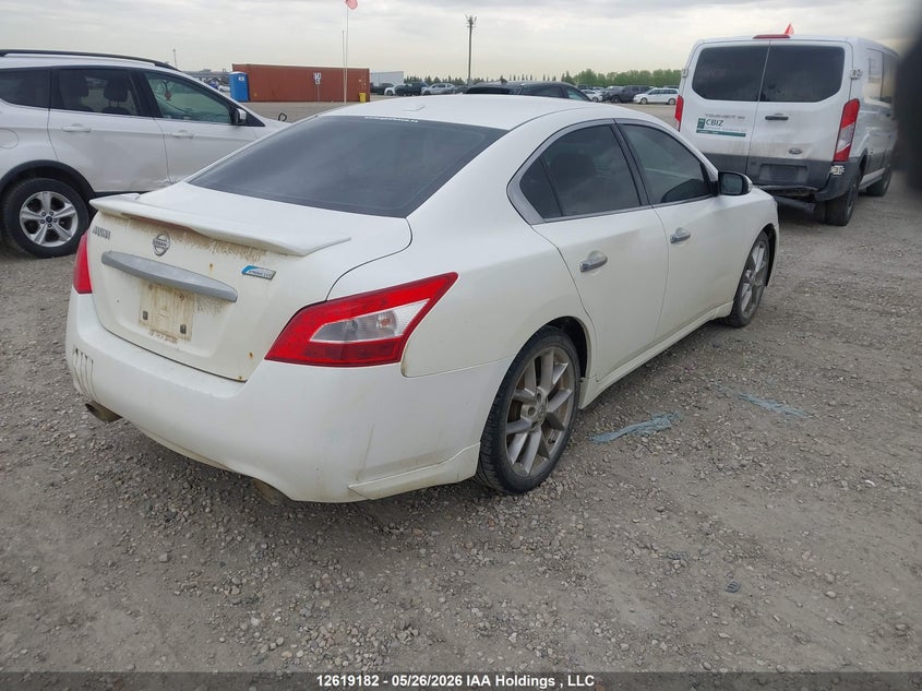 2010 Nissan Maxima S/Sv VIN: 1N4AA5AP1AC857783 Lot: 12619182