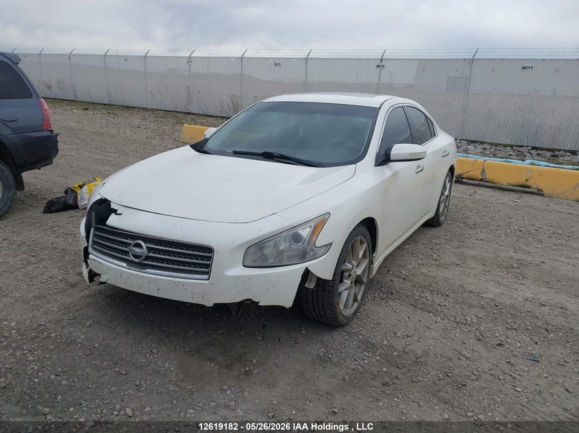 2010 Nissan Maxima S/Sv VIN: 1N4AA5AP1AC857783 Lot: 12619182