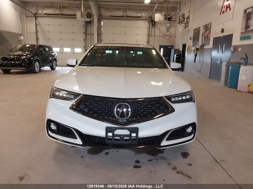 2019 Acura Tlx VIN: 19UUB1F62KA800083 Lot: 12619346