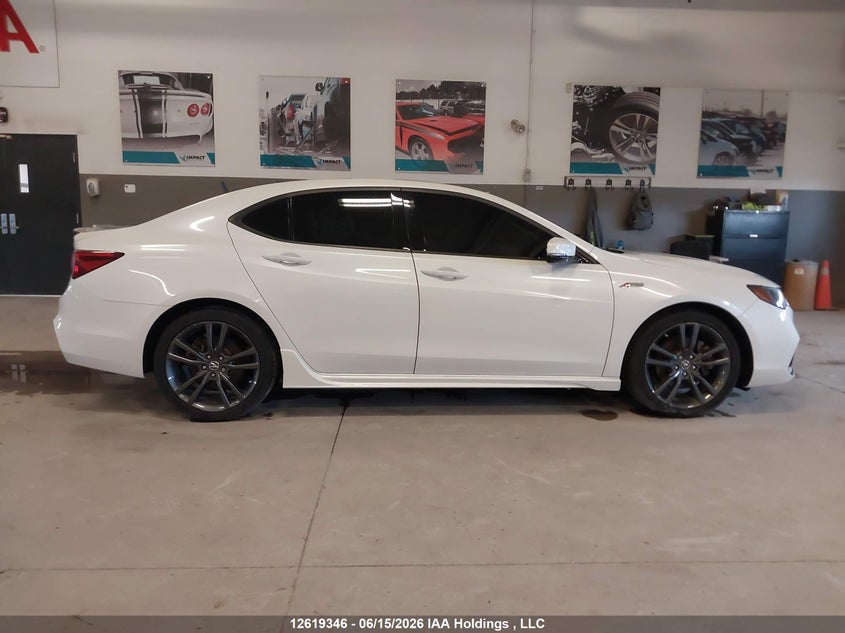 2019 Acura Tlx VIN: 19UUB1F62KA800083 Lot: 12619346