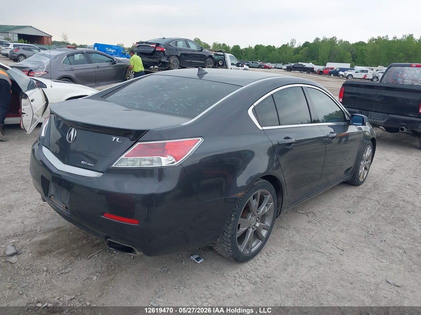 Vin: 19uua9f71da800816, lot: 3018641, acura tl elite 20134