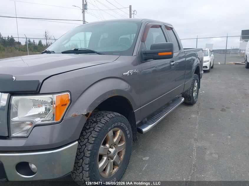 1FTFX1EF9DFD71539 2013 Ford F-150 5.0 Xlt beige