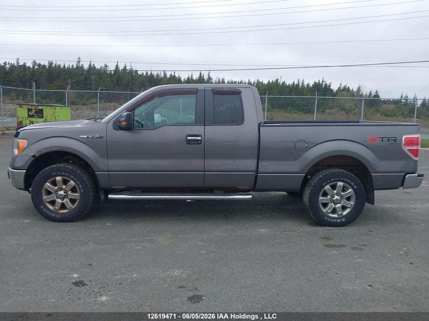 1FTFX1EF9DFD71539 2013 Ford F-150 5.0 Xlt beige