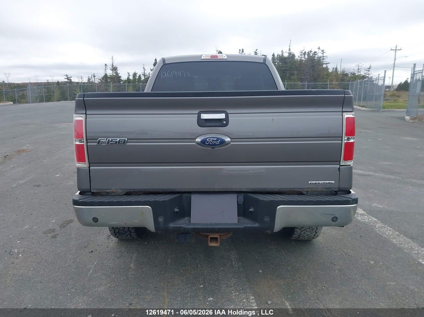 1FTFX1EF9DFD71539 2013 Ford F-150 5.0 Xlt beige