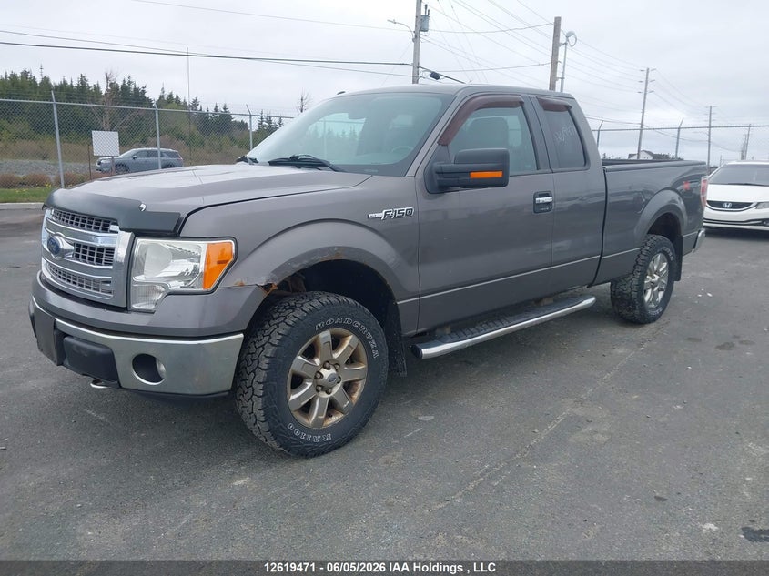 1FTFX1EF9DFD71539 2013 Ford F-150 5.0 Xlt beige