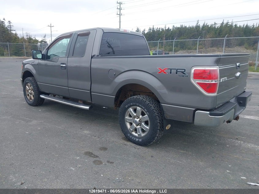 1FTFX1EF9DFD71539 2013 Ford F-150 5.0 Xlt beige