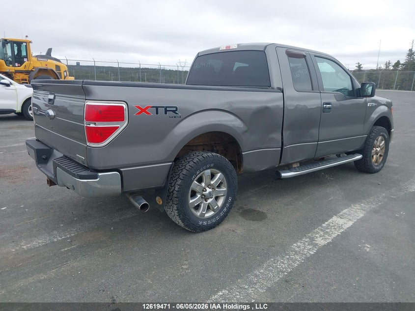 1FTFX1EF9DFD71539 2013 Ford F-150 5.0 Xlt beige