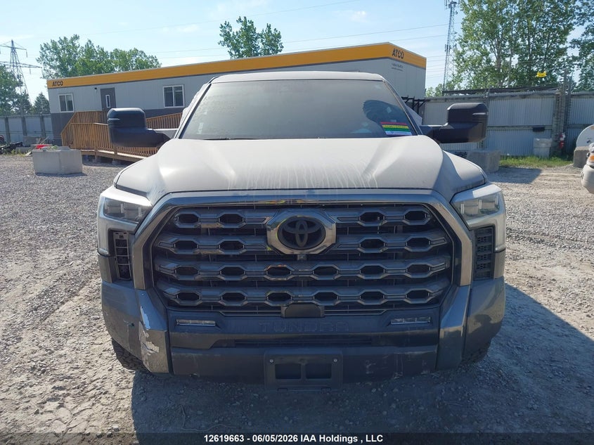 2023 Toyota Tundra Platinum VIN: 5TFNA5DB2PX069012 Lot: 12619663