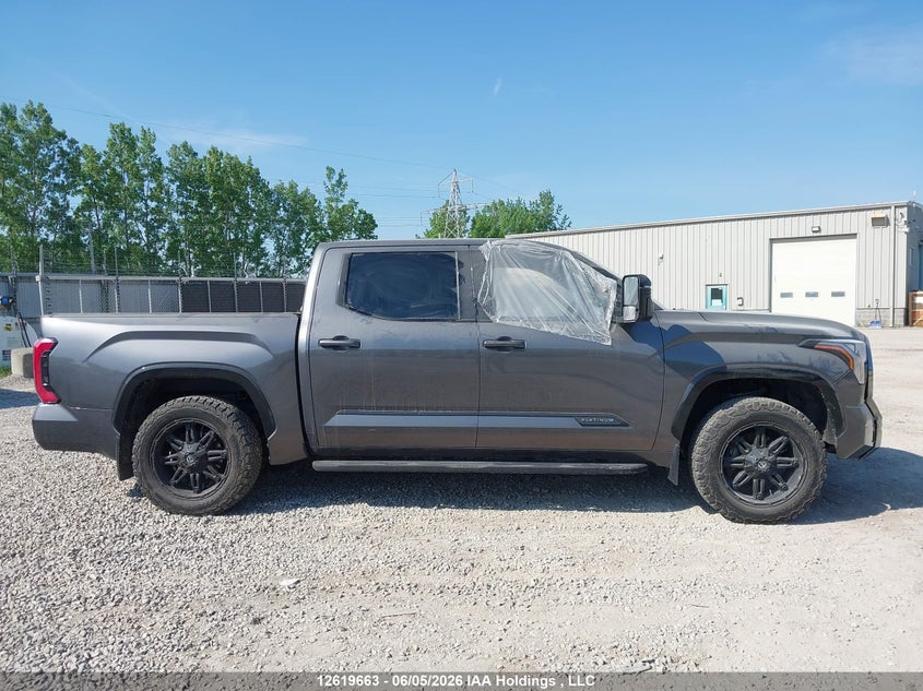 2023 Toyota Tundra Platinum VIN: 5TFNA5DB2PX069012 Lot: 12619663