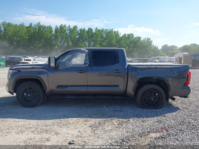 2023 Toyota Tundra Platinum VIN: 5TFNA5DB2PX069012 Lot: 12619663