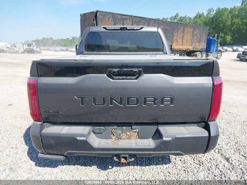 2023 Toyota Tundra Platinum VIN: 5TFNA5DB2PX069012 Lot: 12619663