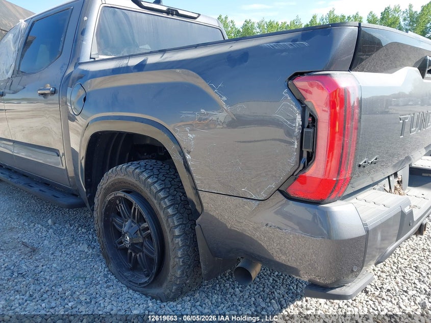 2023 Toyota Tundra Platinum VIN: 5TFNA5DB2PX069012 Lot: 12619663