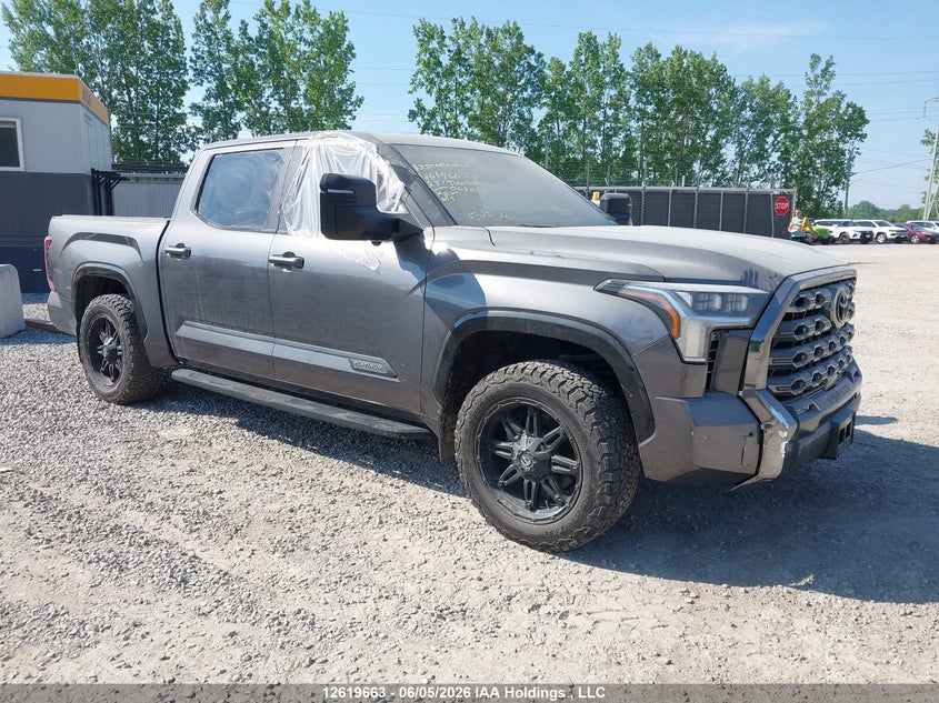 2023 Toyota Tundra Platinum VIN: 5TFNA5DB2PX069012 Lot: 12619663
