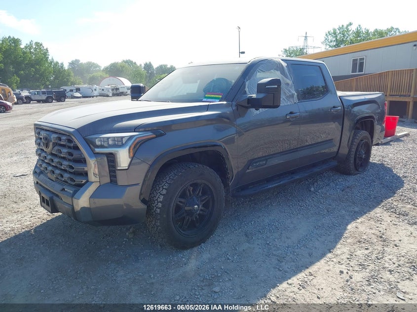 2023 Toyota Tundra Platinum VIN: 5TFNA5DB2PX069012 Lot: 12619663