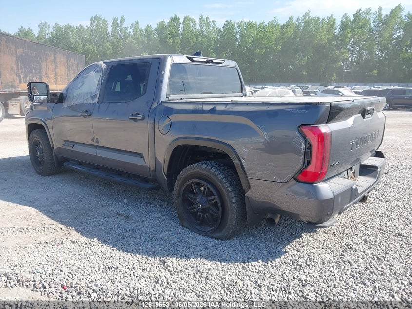 2023 Toyota Tundra Platinum VIN: 5TFNA5DB2PX069012 Lot: 12619663
