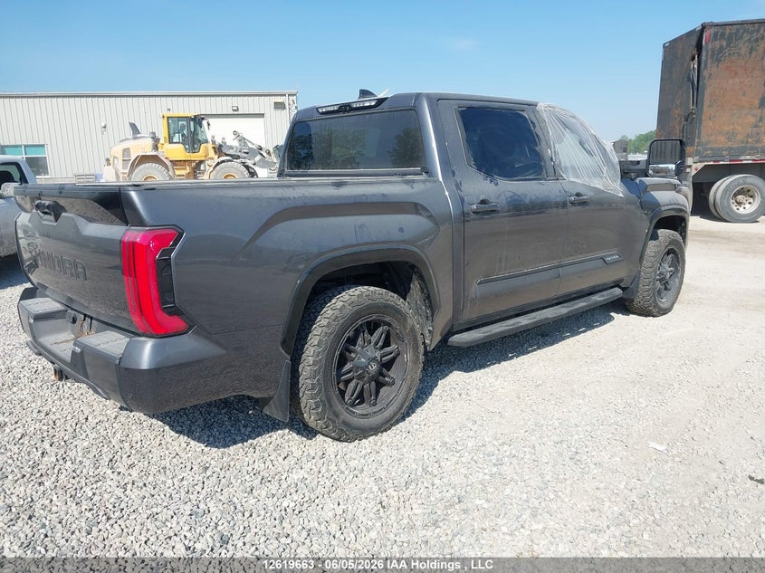 2023 Toyota Tundra Platinum VIN: 5TFNA5DB2PX069012 Lot: 12619663