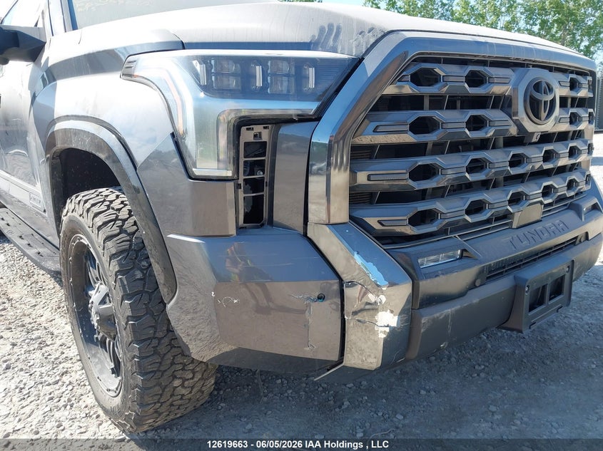 2023 Toyota Tundra Platinum VIN: 5TFNA5DB2PX069012 Lot: 12619663